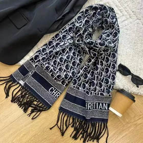 Lv/Dior Scarf-0281